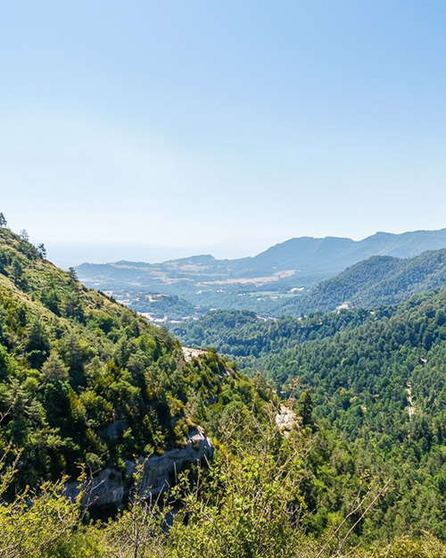 osona